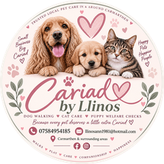 Cariad by Llinos